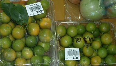 051213四季柑.jpg
