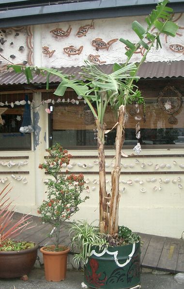 051218ドラム缶1.jpg