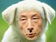 忠犬.jpg