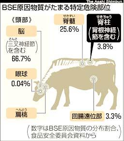 特定危険部位.jpg